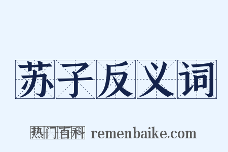 苏子反义词是什么意思的图片